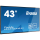 IIYAMA 42.5'' LE4340UHS-B1 Czarny - 443916 - zdjęcie 2